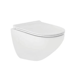 Parryware Cardiff C022K1C Wall Hung White Closet WC